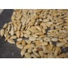 PIPAS GIRASOL ECO KG