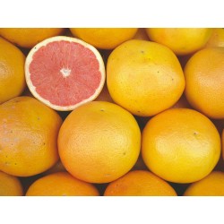 POMELO ECO KG