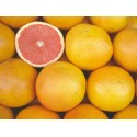 POMELO ECO KG