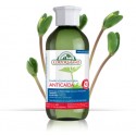 CHAMPU ANTICAIDA 300ML ECO