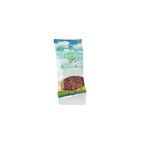 ANIS ESTRELLADO 60G ECO HERBES