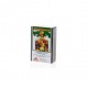 PHYTONORM LEVADURA CERVEZA 80CAP