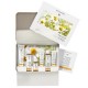 SET FACIAL PURIFICANTE PIELES GRASAS ECO DR. HAUSCHKA