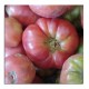 TOMATE ROSA KG ECO