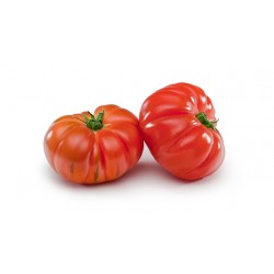 TOMATE TIPO RAFF ECO KG