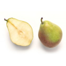 PERA JAPONESA DE CANTABRIA ECO KG