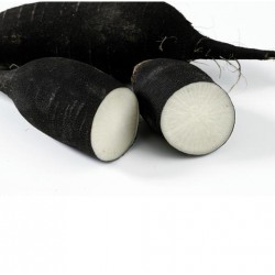 RABANO NEGRO ECO KG
