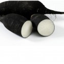 RABANO NEGRO ECO KG