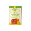 LEVADURA PARA REPOSTERIA 3X10G ECO BIOREAL