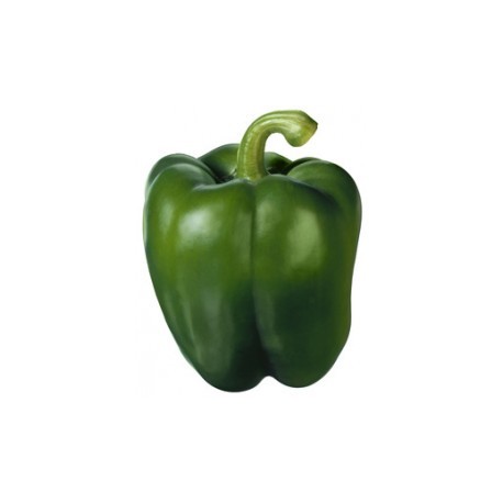 PIMIENTO CALIFORNIA VERDE ECO KG