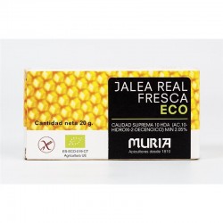 JALEA REAL FRESCA 20G ECO MURIA