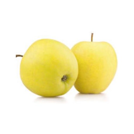 MANZANA GOLDEN ECO KG