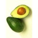 AGUACATE HASS ECO KG