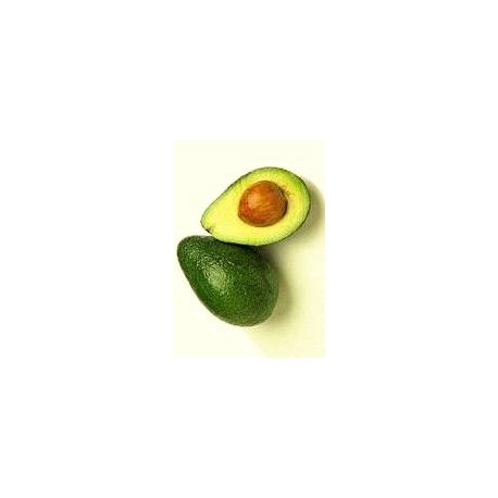 AGUACATE HASS ECO KG