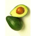 AGUACATE HASS ECO KG