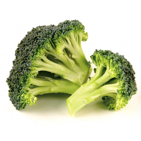 BROCOLI ECO KG