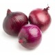 CEBOLLA ROJA AMPOSTA  ECO KG