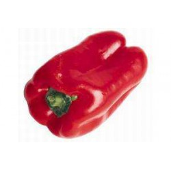 PIMIENTO CALIFORNIA ROJO ECO KG