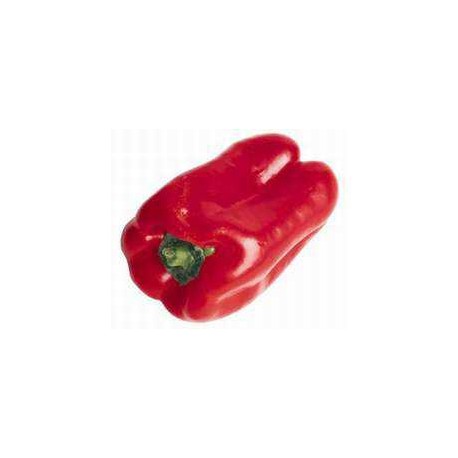 PIMIENTO CALIFORNIA ROJO ECO KG