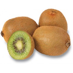 KIWI ECO KG