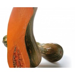 CALABAZA VASCA ECO KG