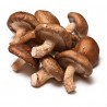 SETA SHIITAKE ECO KG