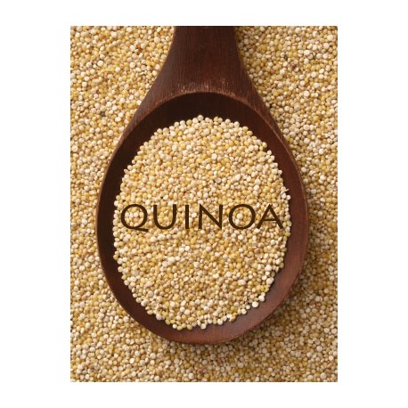 QUINOA ECO KG