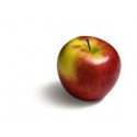 MANZANA COOP ECO KG