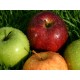 MANZANA CHOUPETTE ECO KG