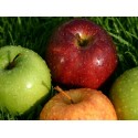 MANZANA CHOUPETTE ECO KG