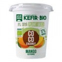 KEFIR COCO MANGO S/G NATURAL 400G ECO NATURGREEN