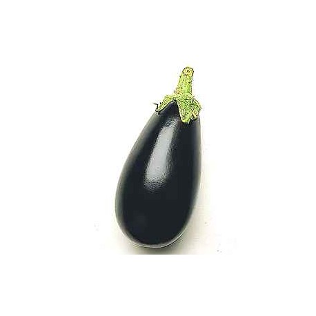 BERENJENA ECO KG