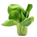 PAK CHOI ECO UD