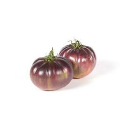 TOMATE TXAPELDUN ECO KG