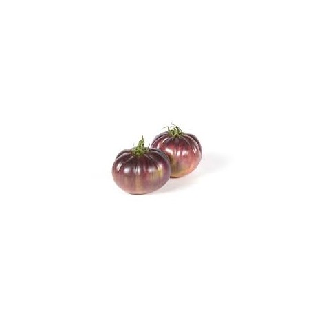 TOMATE TXAPELDUN ECO KG