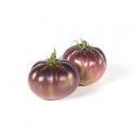 TOMATE TXAPELDUN ECO KG
