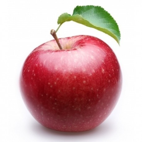 MANZANA SAGARGORRI ECO KG