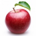 MANZANA SAGARGORRI ECO KG