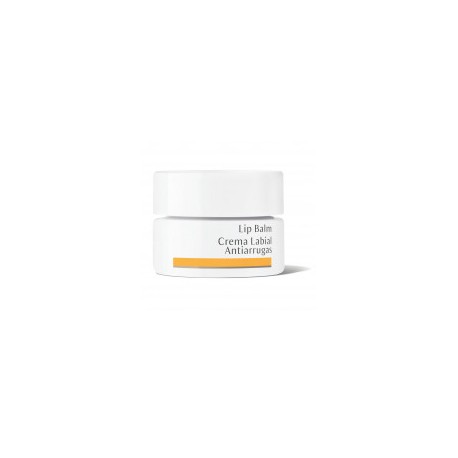 CREMA LABIAL ANTIARRUGAS TARRINA  4.5ML DR. HAUSCHKA