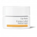 CREMA LABIAL ANTIARRUGAS TARRINA  4.5ML DR. HAUSCHKA