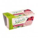 SOJADE 2X100G ECO FRUTAS DEL BOSQUE