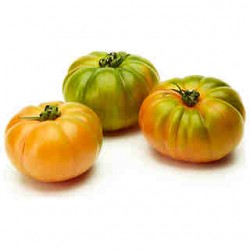 TOMATE MARMANDE ECO KG