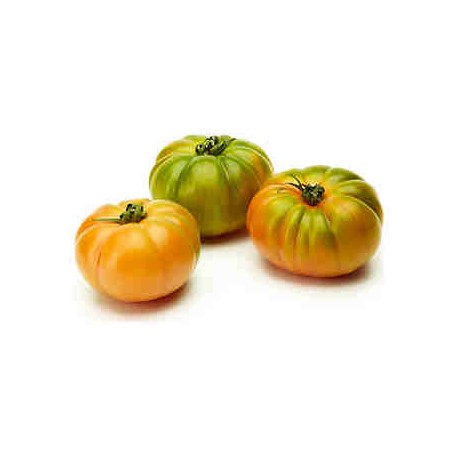 TOMATE MARMANDE ECO KG