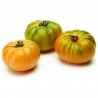 TOMATE MARMANDE ECO KG