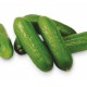 PEPINO SNACK KG  ECO