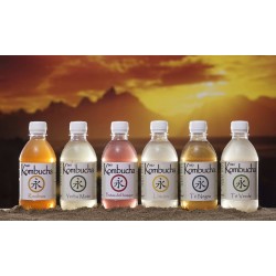 BIO KOMBUCHA LIMON 33CL ECO