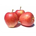 MANZANA R. GALA PEQ ECO KG