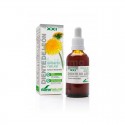 EXTRACTO DIENTE LEON XXI 50ML S/ALC SORIA NATURAL