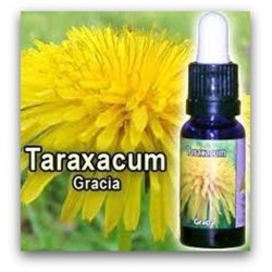 DIENTE DE LEON TARAXACUM 15ML  ESENCIAS TRIUNIDAD