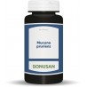 MUCUNA PRURIENS 60VCAP 